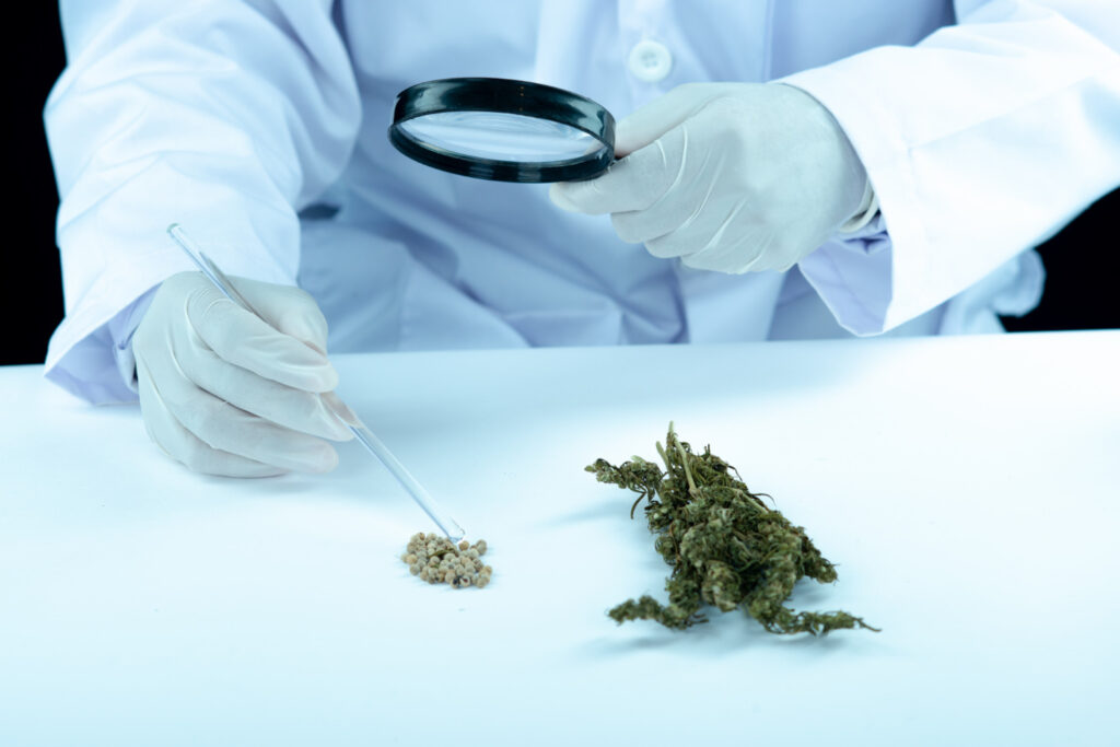 The Science Behind Medical Marijuana